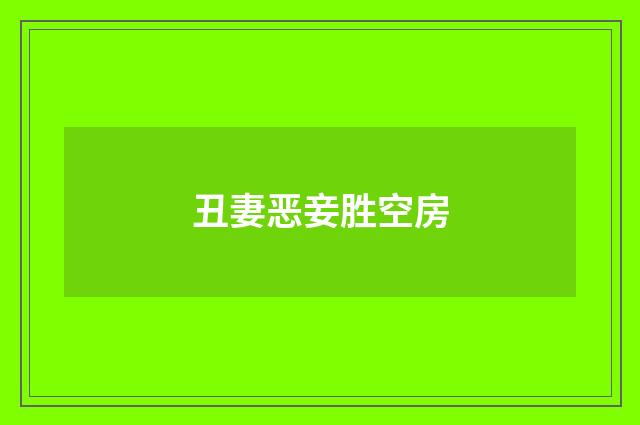 丑妻恶妾胜空房