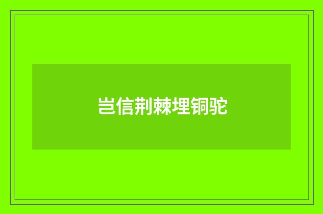 岂信荆棘埋铜驼