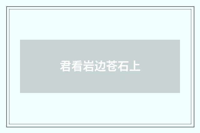 君看岩边苍石上
