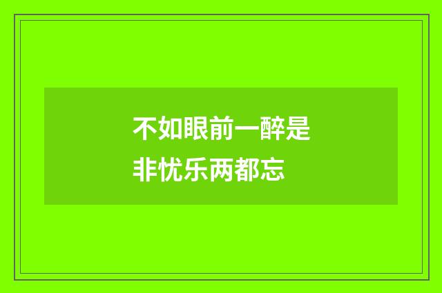 不如眼前一醉是非忧乐两都忘