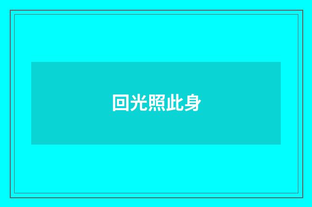 回光照此身