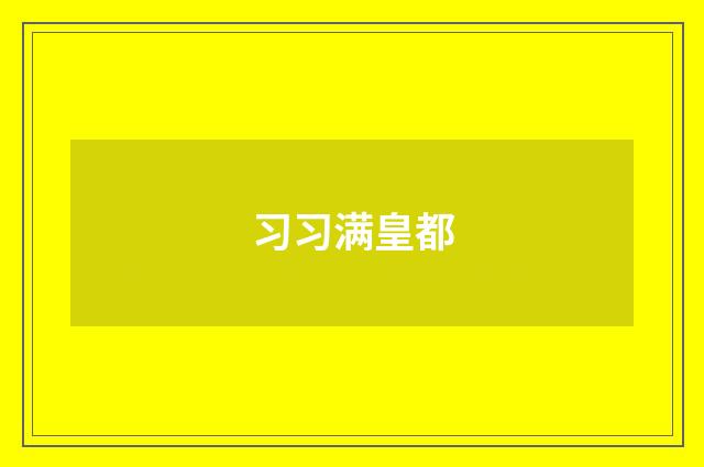 习习满皇都