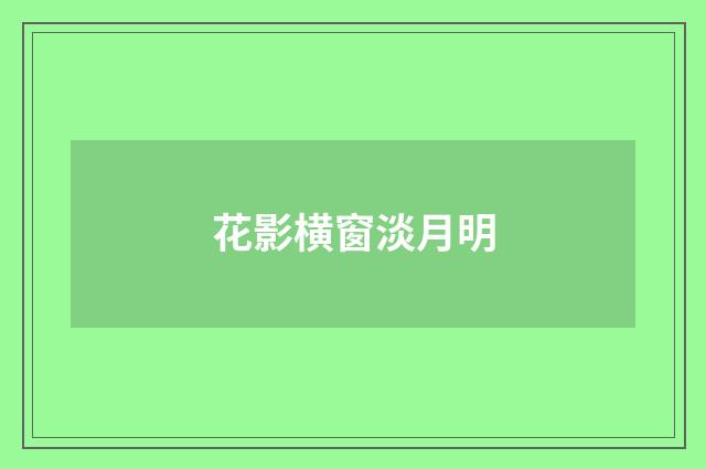 花影横窗淡月明