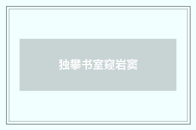 独攀书室窥岩窦