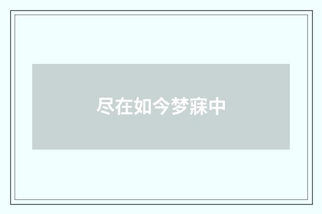 尽在如今梦寐中