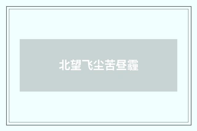 北望飞尘苦昼霾