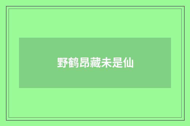 野鹤昂藏未是仙