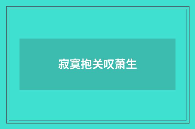 寂寞抱关叹萧生
