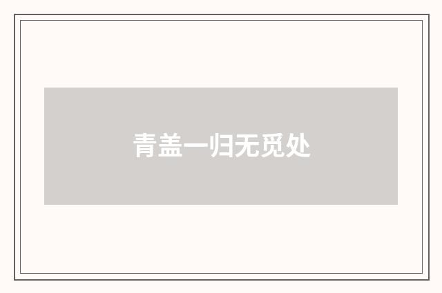 青盖一归无觅处