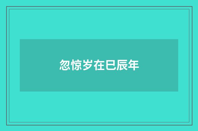 忽惊岁在巳辰年