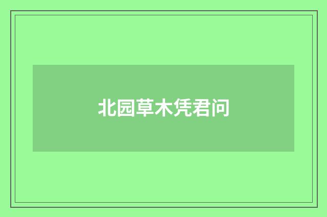 北园草木凭君问