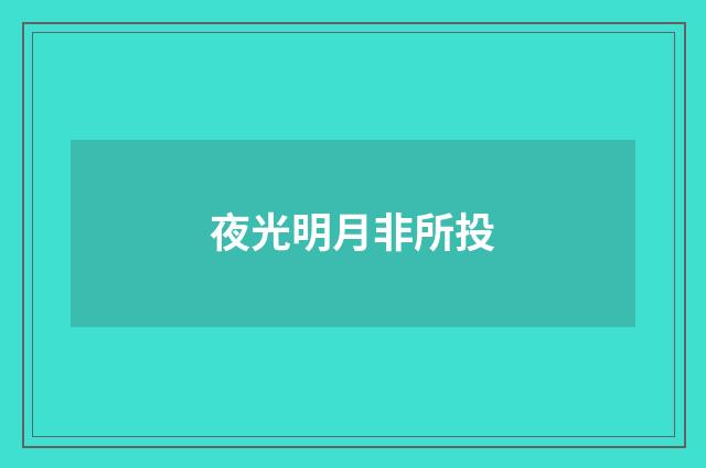 夜光明月非所投