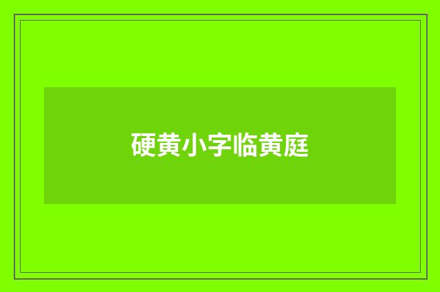 硬黄小字临黄庭