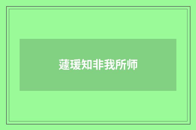蘧瑗知非我所师