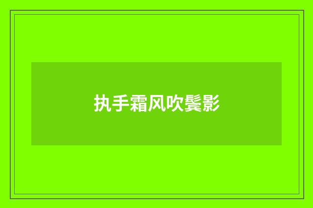执手霜风吹鬓影