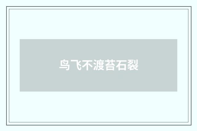 鸟飞不渡苔石裂