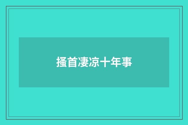 搔首凄凉十年事