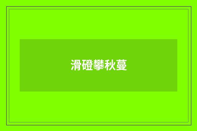 滑磴攀秋蔓