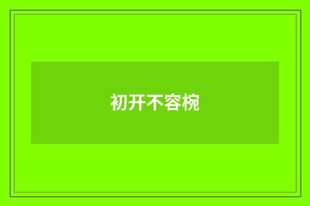 初开不容椀