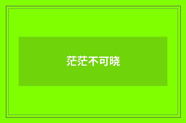 茫茫不可晓