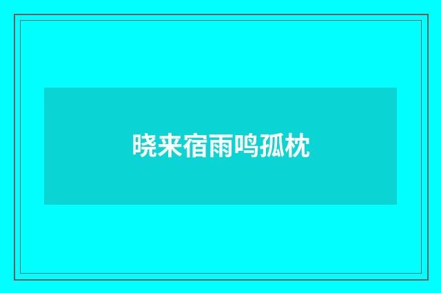 晓来宿雨鸣孤枕