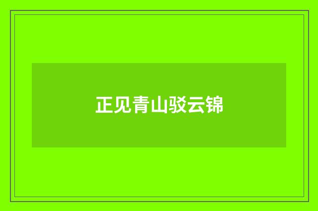 正见青山驳云锦