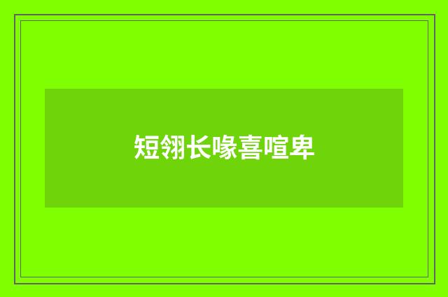 短翎长喙喜喧卑