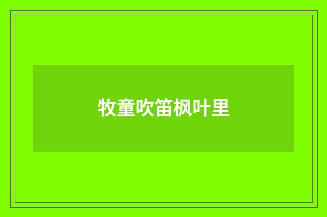 牧童吹笛枫叶里