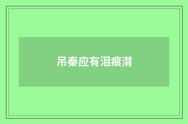 吊秦应有泪痕潸