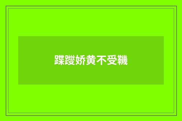 蹀躞娇黄不受鞿