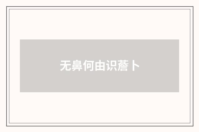 无鼻何由识薝卜