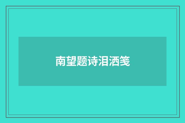 南望题诗泪洒笺