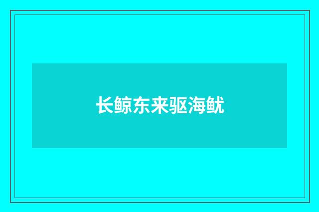 长鲸东来驱海鱿