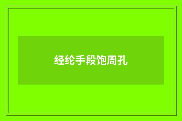 经纶手段饱周孔