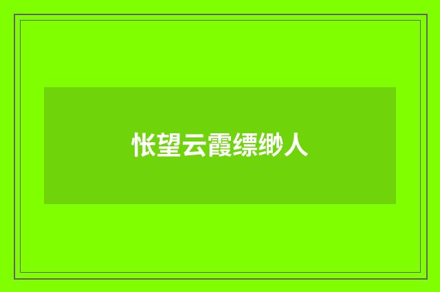 怅望云霞缥缈人