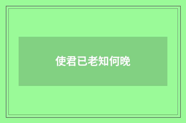 使君已老知何晚