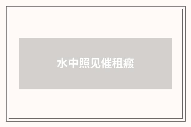 水中照见催租瘢