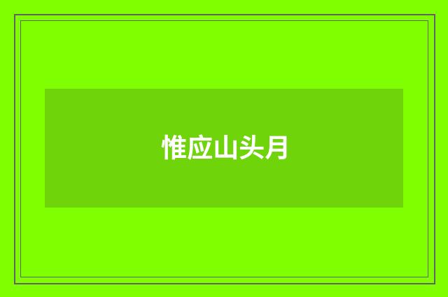 惟应山头月