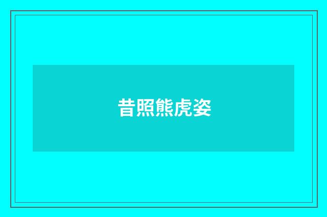 昔照熊虎姿