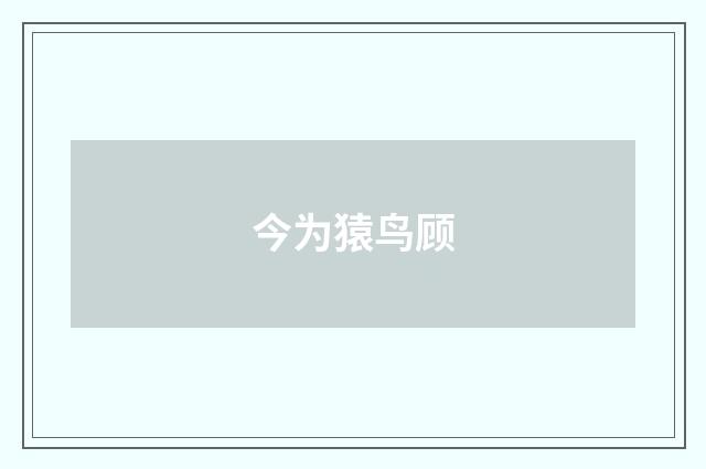 今为猿鸟顾
