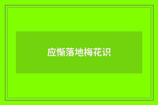 应惭落地梅花识