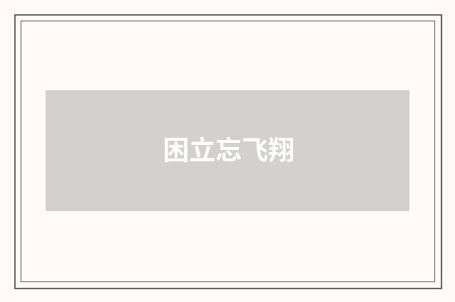 困立忘飞翔