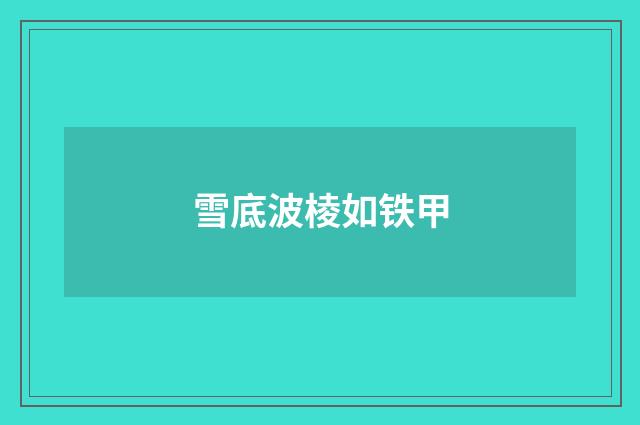 雪底波棱如铁甲