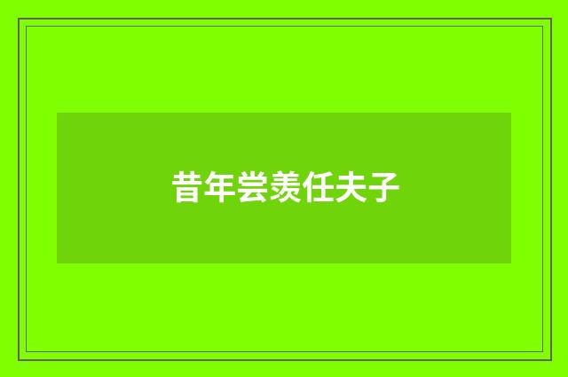 昔年尝羡任夫子