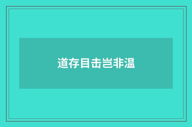 道存目击岂非温