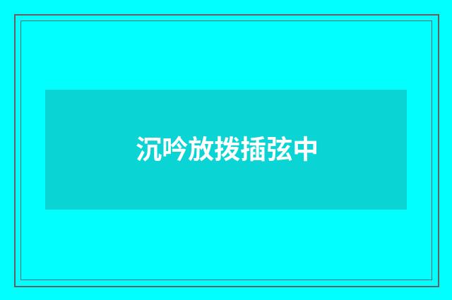 沉吟放拨插弦中