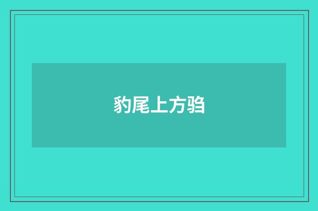 豹尾上方驺