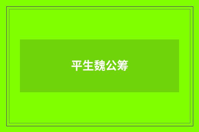 平生魏公筹