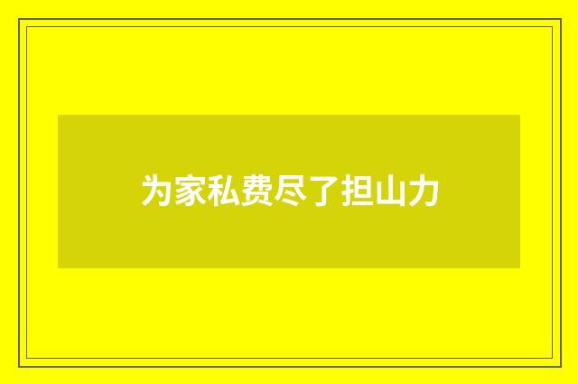 为家私费尽了担山力