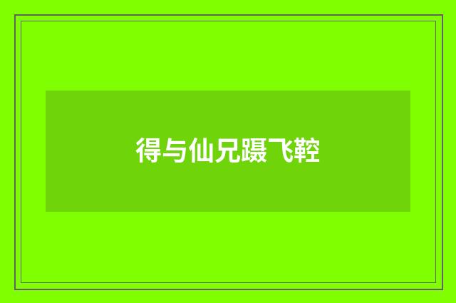 得与仙兄蹑飞鞚